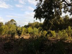 Fazenda para Venda em Uruaçu - 4
