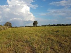 #83 - Fazenda para Venda em Uruaçu - GO - 1