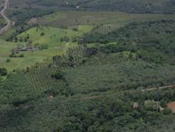 Fazenda para Venda em Ilhéus - 4