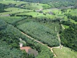 #86 - Fazenda para Venda em Ilhéus - BA - 2