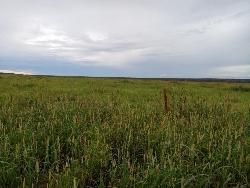 #91 - Fazenda para Venda em Balsas - MA