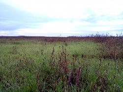 Fazenda para Venda em Balsas - 5