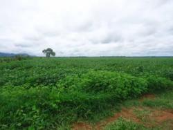 #140 - Fazenda para Venda em Barra do Bugres - MT