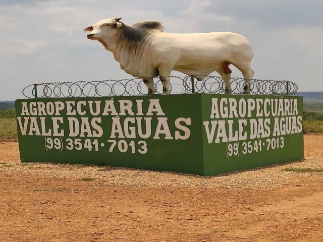 #90 - Fazenda para Venda em Balsas - MA - 1