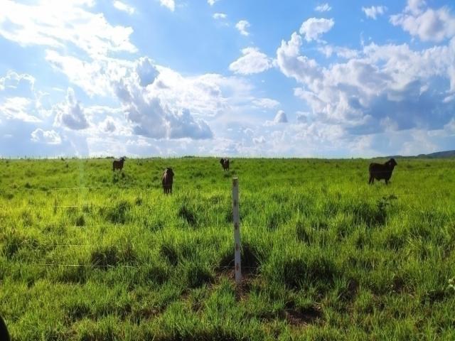 #90 - Fazenda para Venda em Balsas - MA - 2