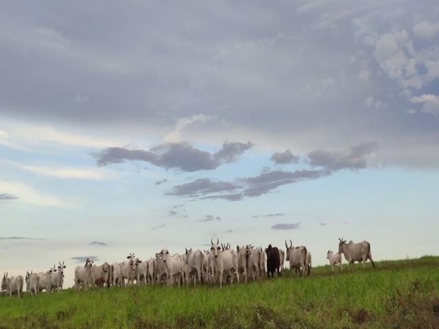 Venda em Maranhao - Balsas