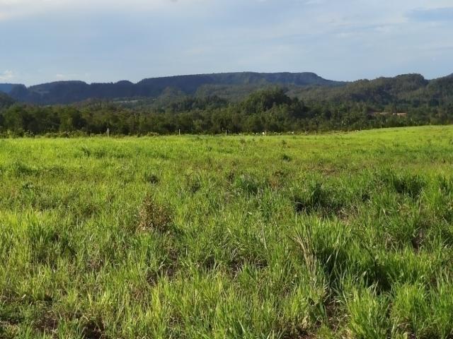 #89 - Fazenda para Venda em Balsas - MA