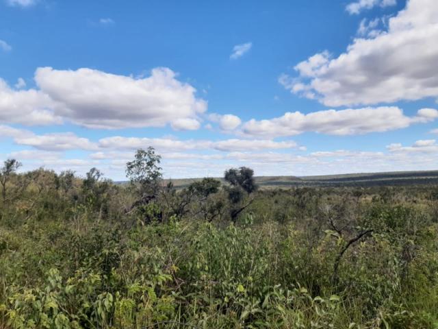 Venda em Zona Rural s/n - Balsas