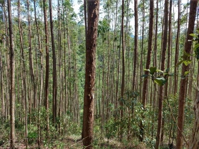 #94 - Fazenda para Venda em Belo Horizonte - MG - 2