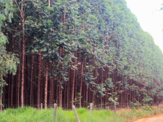 Venda em Zona rural - Belo Horizonte