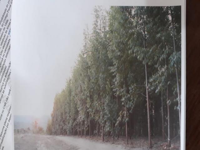 Fazenda para Venda em Belo Horizonte - 4