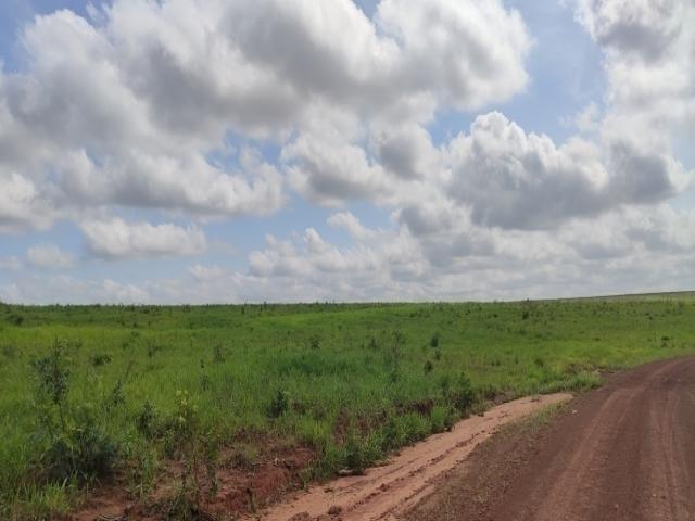 #96 - Fazenda para Venda em Araguaína - TO - 3