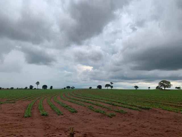 #96 - Fazenda para Venda em Araguaína - TO