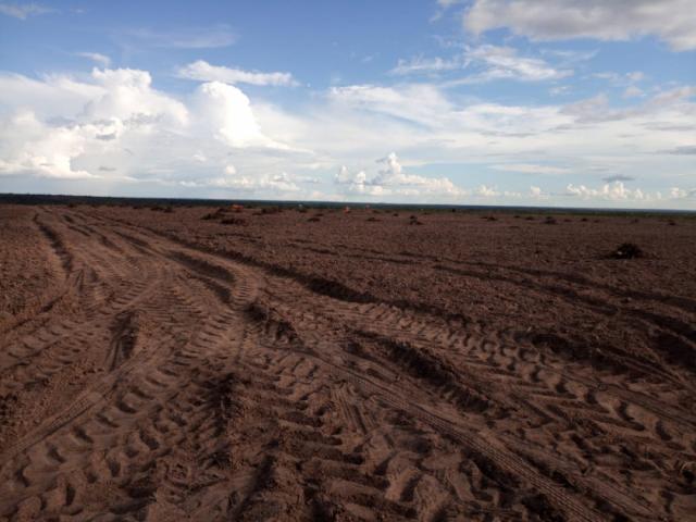 #98 - Industria, Comercio e Agro para Venda em São Domingos do Azeitão - MA - 2