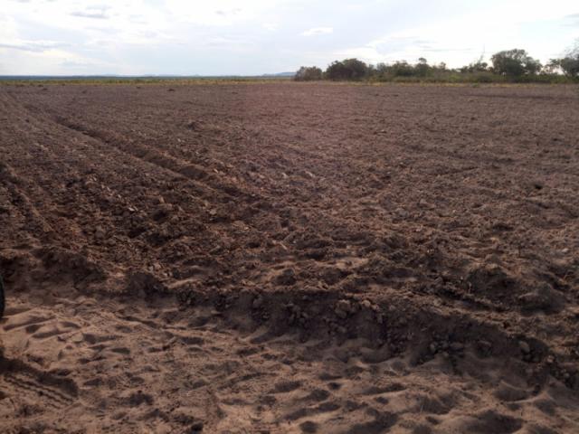 Industria, Comercio e Agro para Venda em São Domingos do Azeitão - 4