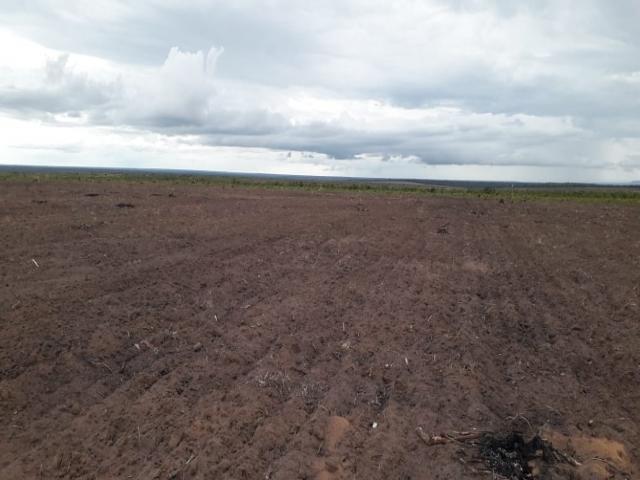 #98 - Industria, Comercio e Agro para Venda em São Domingos do Azeitão - MA - 3