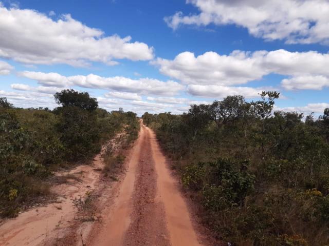 #99 - Fazenda para Venda em São Domingos do Azeitão - MA - 1