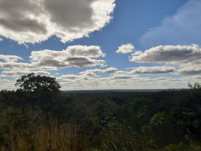 #99 - Fazenda para Venda em São Domingos do Azeitão - MA