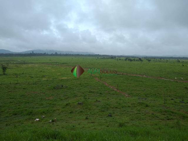 Fazenda para Venda em Balsas - 5