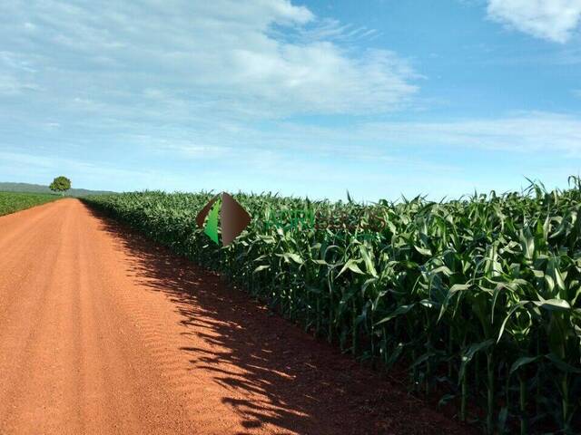 #104 - Fazenda para Venda em Balsas - MA - 1