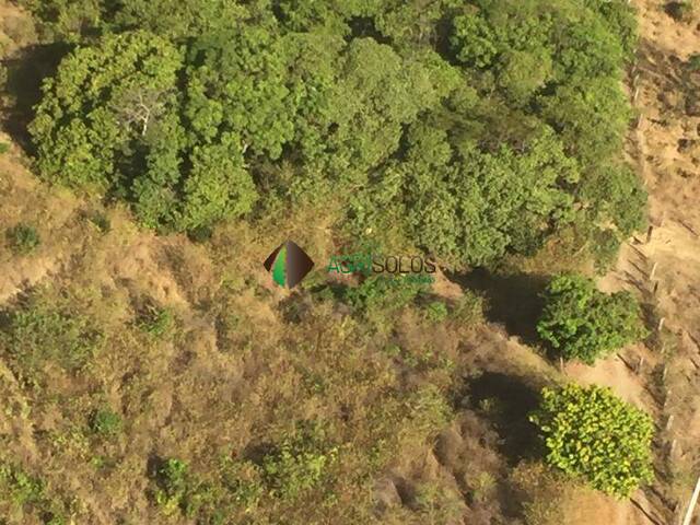 Fazenda para Venda em Buriticupu - 4