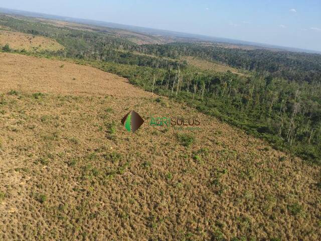 Venda em 8.200 HA BURITICUPU MA - Buriticupu