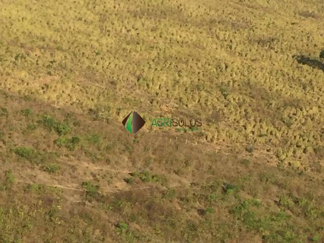 Fazenda para Venda em Buriticupu - 5