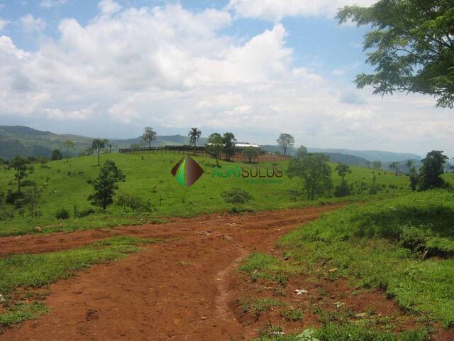 Industria, Comercio e Agro para Venda em Guarapuava - 4