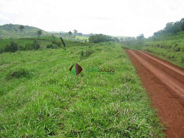 Industria, Comercio e Agro para Venda em Guarapuava - 5