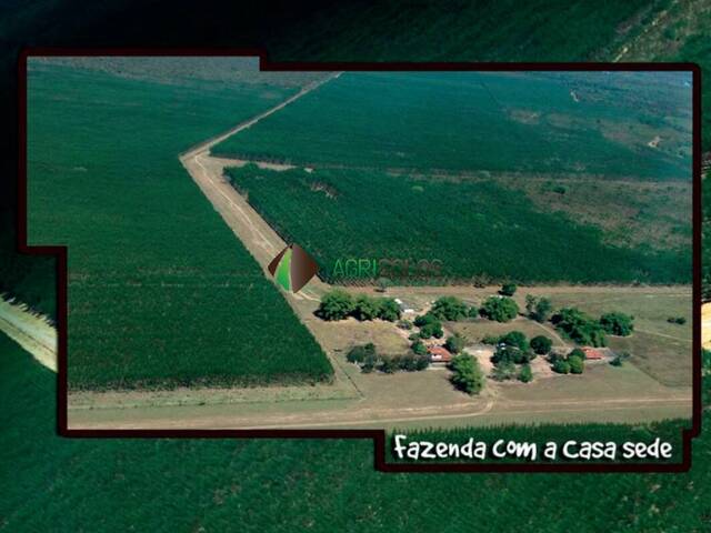 Venda em 10.000 HA COCALINHO MT - Cocalinho