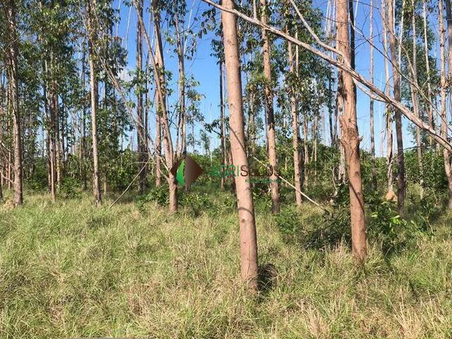 Fazenda para Venda em Cocalinho - 4