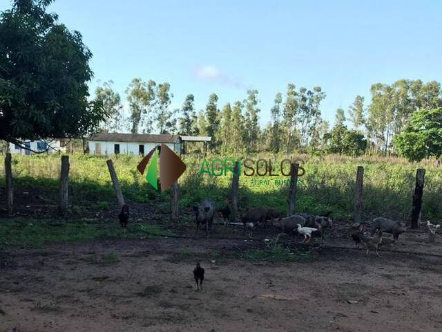 Fazenda para Venda em Cocalinho - 5
