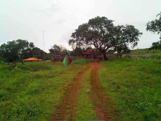 #110 - Fazenda para Venda em Primavera do Leste - MT - 3