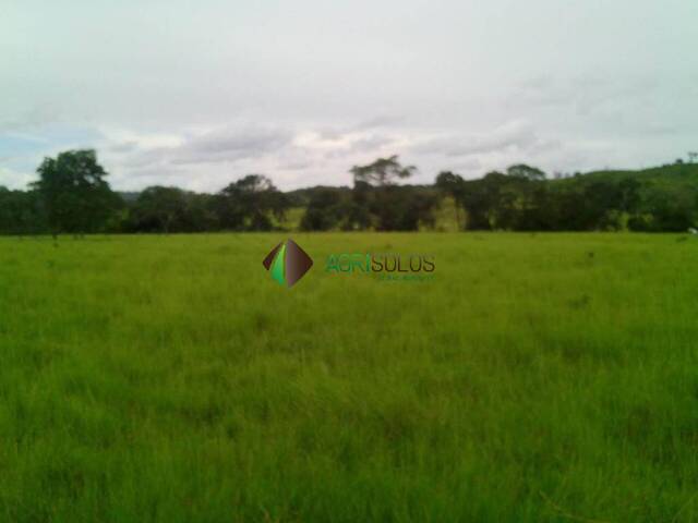 Fazenda para Venda em Primavera do Leste - 4