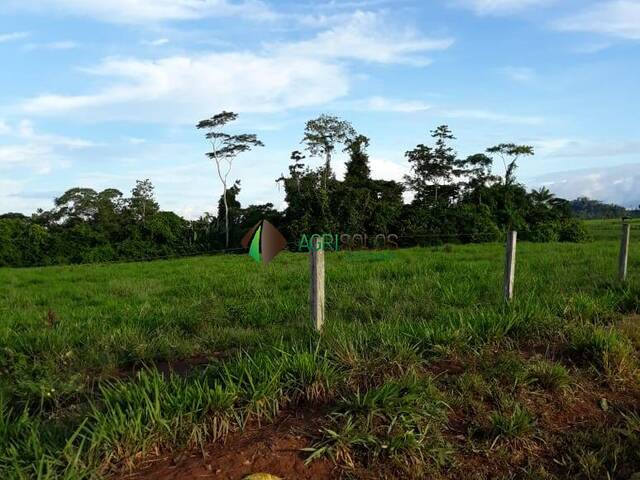 Fazenda para Venda em São Félix do Xingu - 4