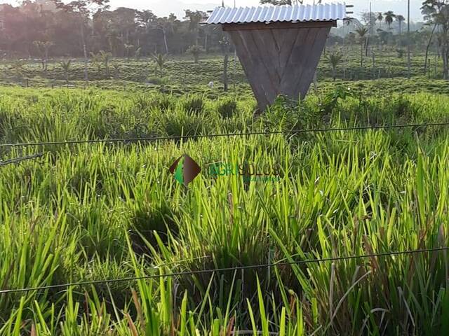 #111 - Fazenda para Venda em São Félix do Xingu - PA - 2