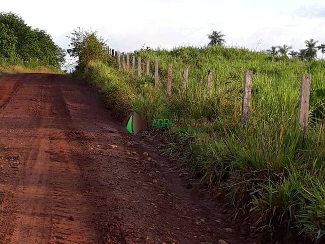 Venda em 4.200 HA SAO FELIX XINGU PA - São Félix do Xingu