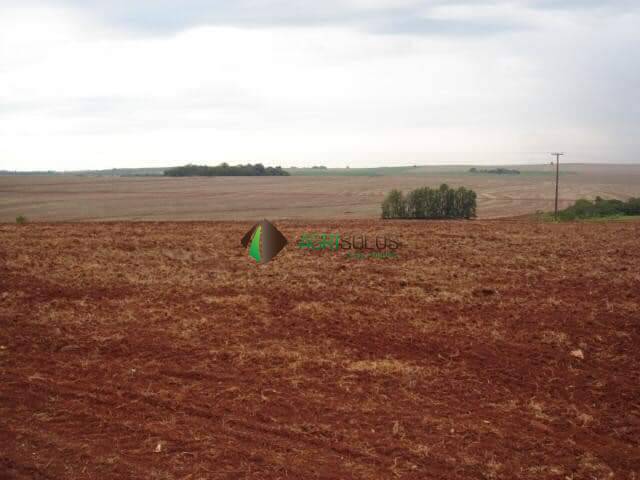 Fazenda para Venda em Londrina - 4