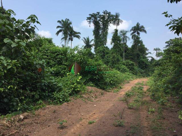 #118 - Fazenda para Venda em São Félix do Xingu - PA - 3