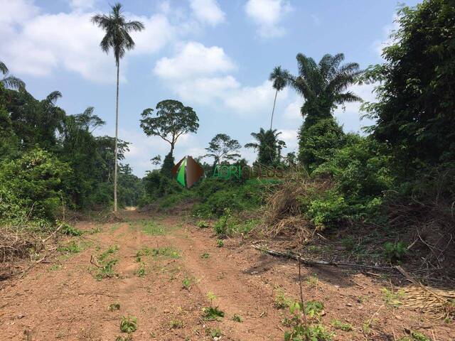 Fazenda para Venda em São Félix do Xingu - 4