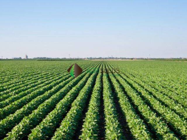 #121 - Fazenda para Venda em Rio Verde - GO - 2