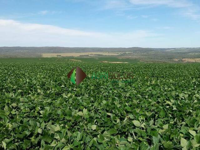 Fazenda para Venda em Rio Verde - 4