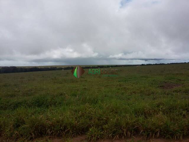Fazenda para Venda em Campos de Júlio - 4