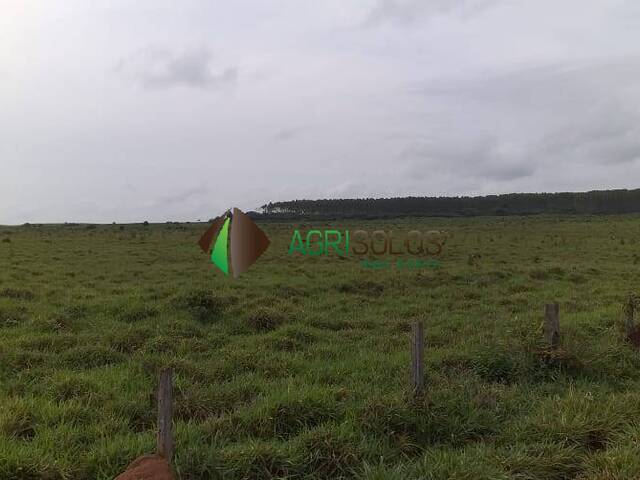 Fazenda para Venda em Ananás - 4
