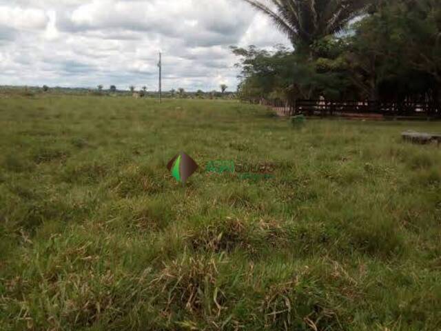 #128 - Fazenda para Venda em Ribas do Rio Pardo - MS