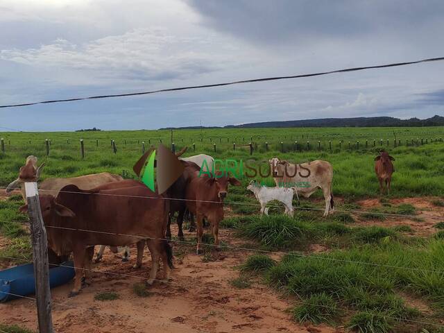 #128 - Fazenda para Venda em Ribas do Rio Pardo - MS