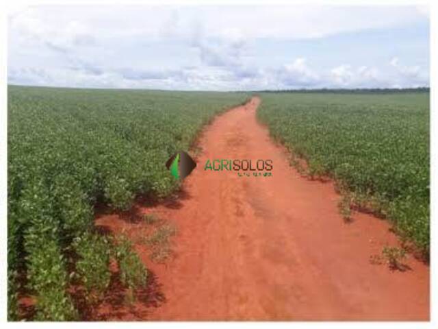 #129 - Fazenda para Venda em Lagoa da Confusão - TO - 3