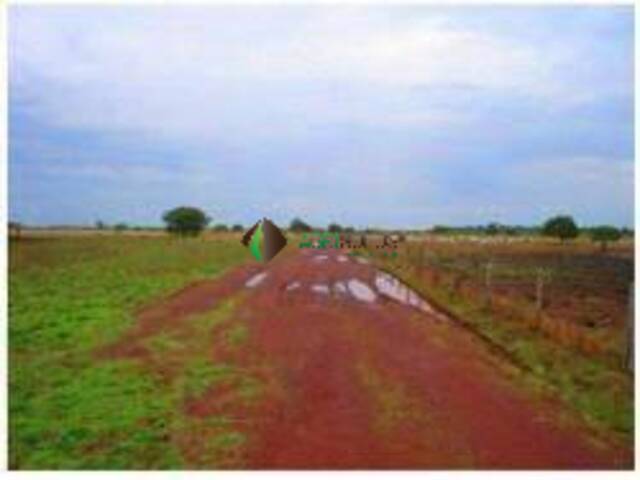 Fazenda para Venda em Lagoa da Confusão - 4