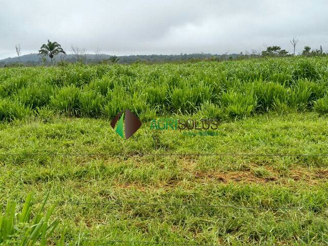 #132 - Fazenda para Venda em Juína - MT - 3