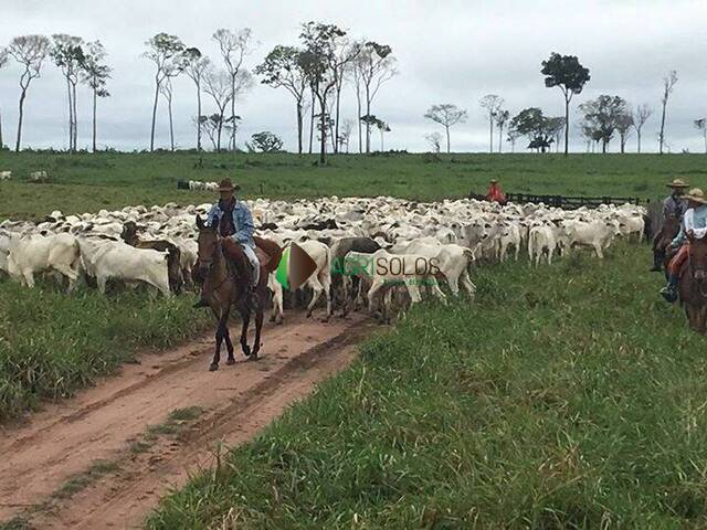 Fazenda para Venda em Juína - 5